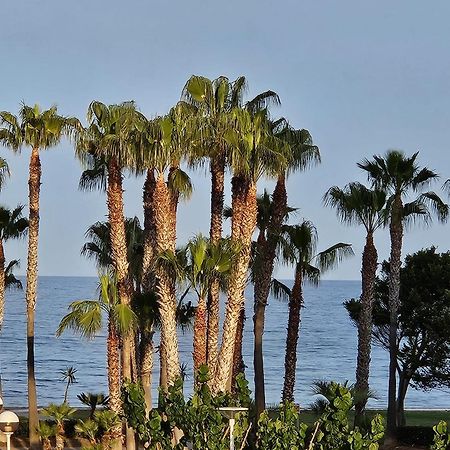 Mondrian Magic World - Sea View First Line Of The Beach Oropesa del Mar Esterno foto