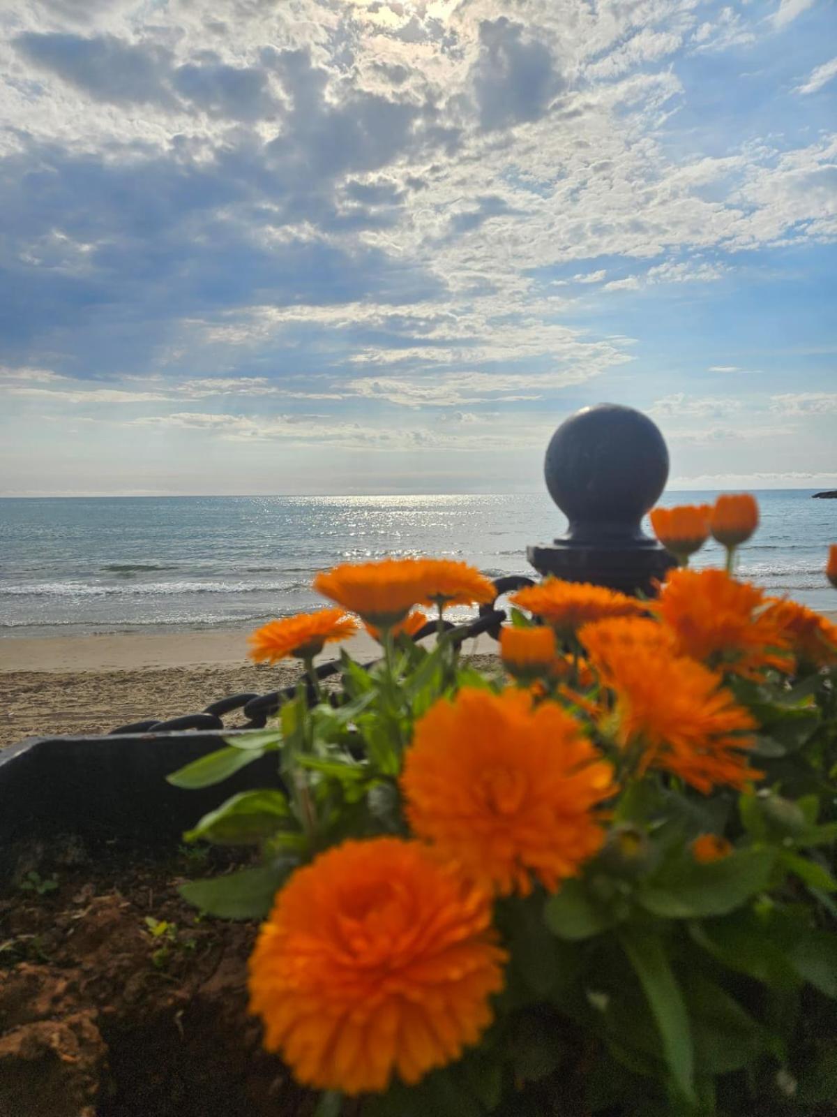 Mondrian Magic World - Sea View First Line Of The Beach Oropesa del Mar Esterno foto