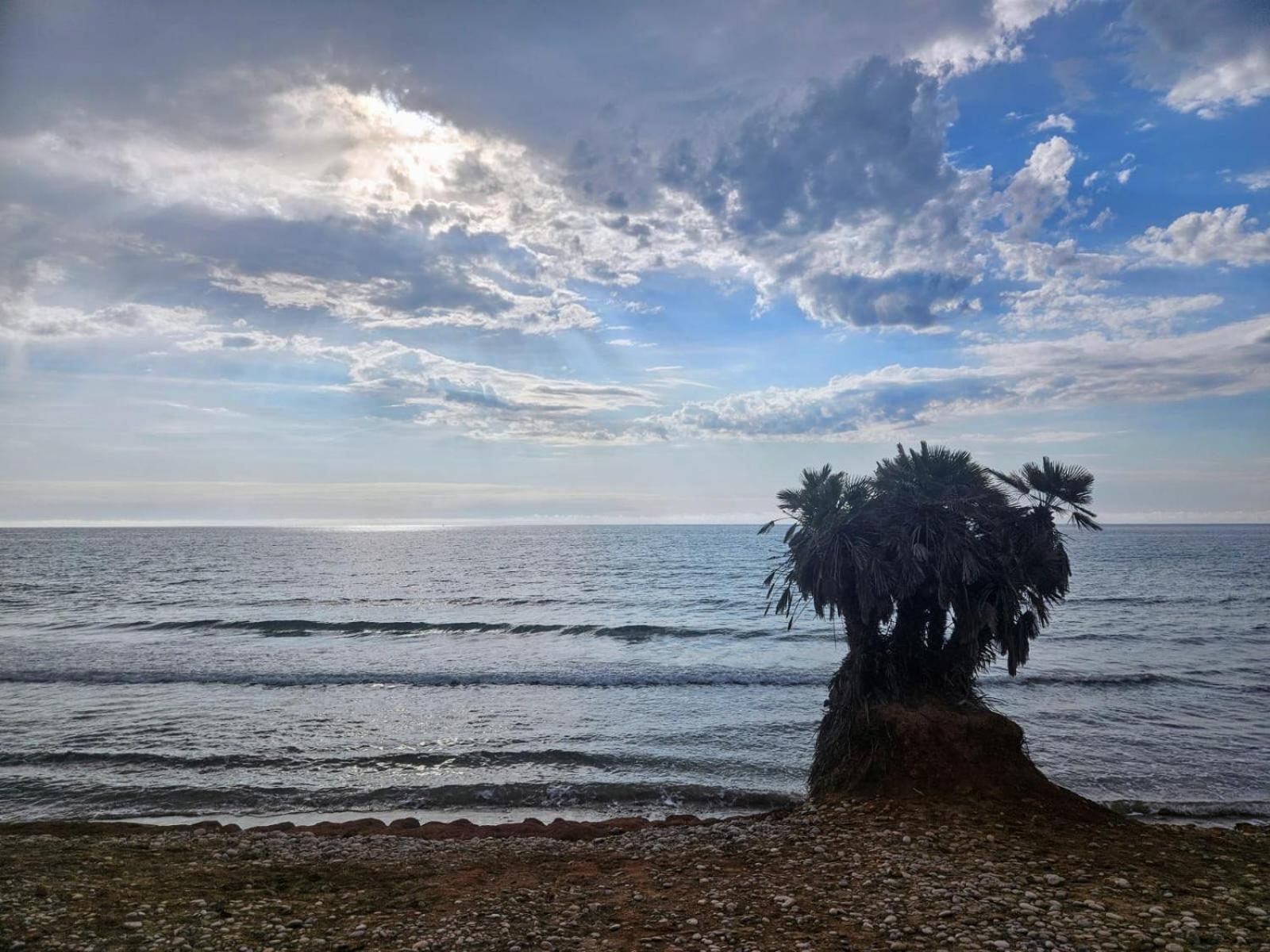 Mondrian Magic World - Sea View First Line Of The Beach Oropesa del Mar Esterno foto