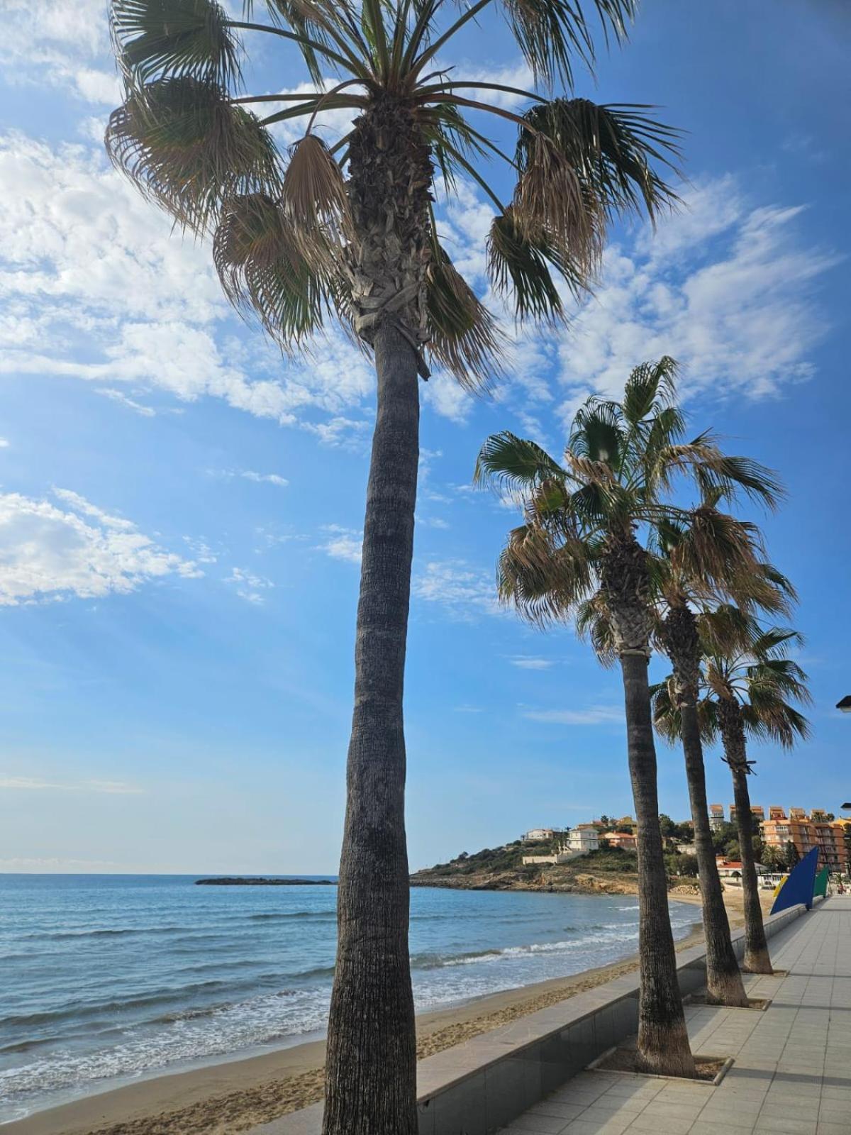 Mondrian Magic World - Sea View First Line Of The Beach Oropesa del Mar Esterno foto