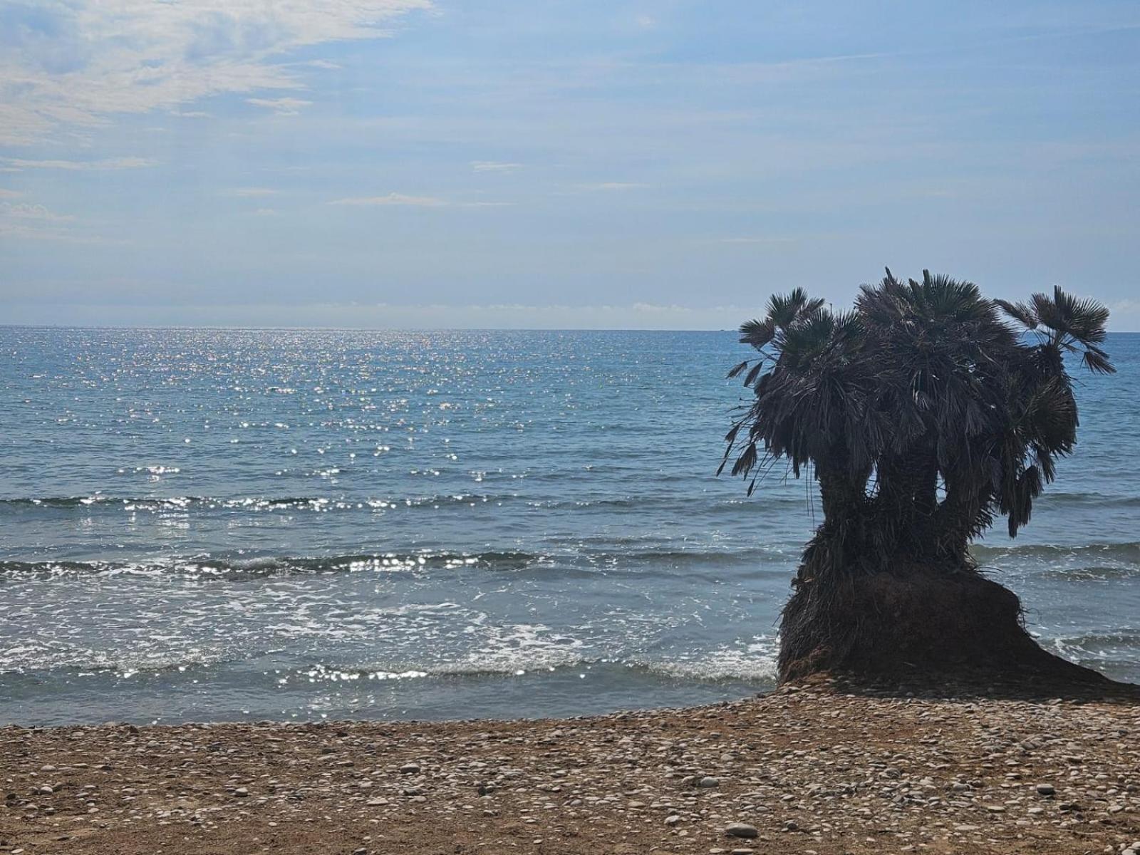 Mondrian Magic World - Sea View First Line Of The Beach Oropesa del Mar Esterno foto