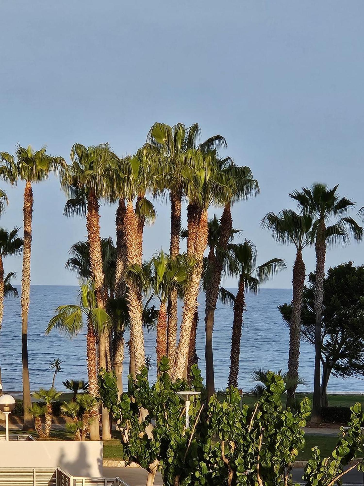 Mondrian Magic World - Sea View First Line Of The Beach Oropesa del Mar Esterno foto